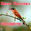 Pajarito Piquito Rosa Albumcover