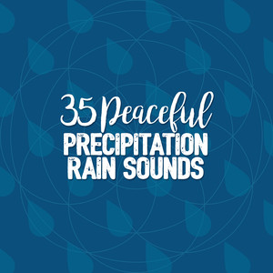 35 Peaceful Precipitation Rain Sounds album