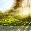 Ambient SoundScapes, Vol. 17 cover