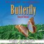 Ein Hit des Jahrhunderts Butterfly Albumcover