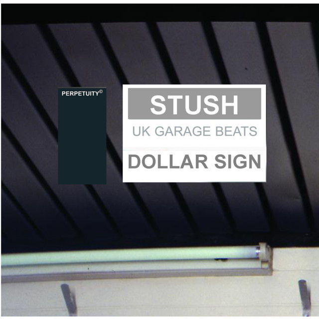 Musik Artist Stush