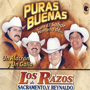 Un Alacran y un Gallo cover