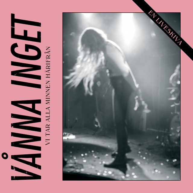Vi Tar Alla Minnen Härifrån - En Liveskiva cover
