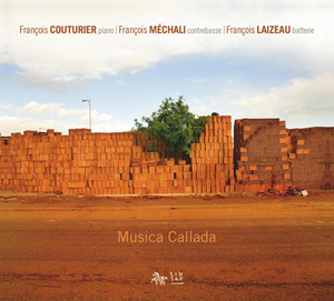 Musica callada cover