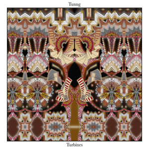 Turbines cover