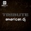 Tribute To American DJ Albumcover