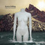 Cabinet Of Curiosities Albumcover