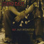 Not Just Intonation Albumcover