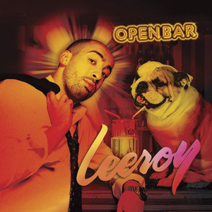 Open bar cover