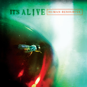 The Bottom cover