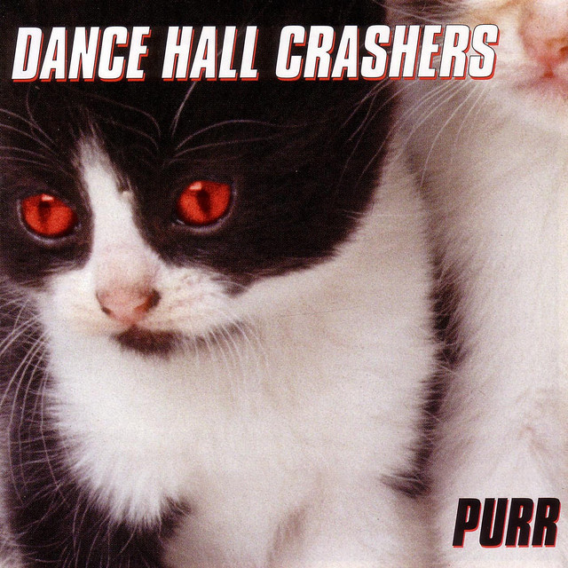 Purr cover