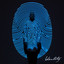 Identity (Deluxe Edition) cover