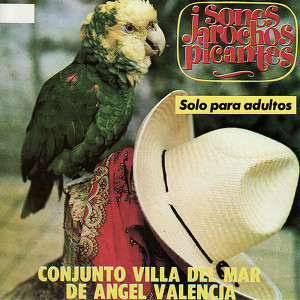 Angel Vanencia