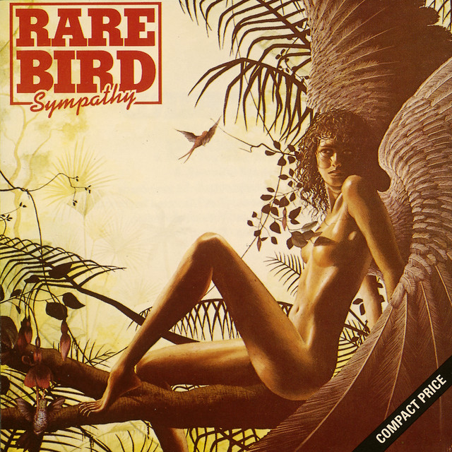 Rare Bird Photo
