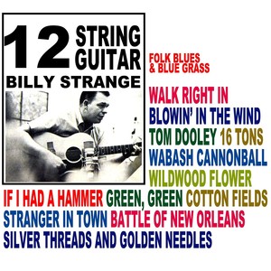 12 String Guitar Albumcover