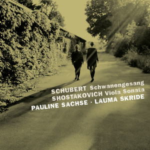 Schwanengesang cover