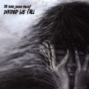 Divided We Fall cover