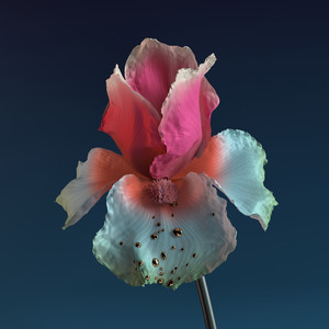 Skin (The Remixes) album
