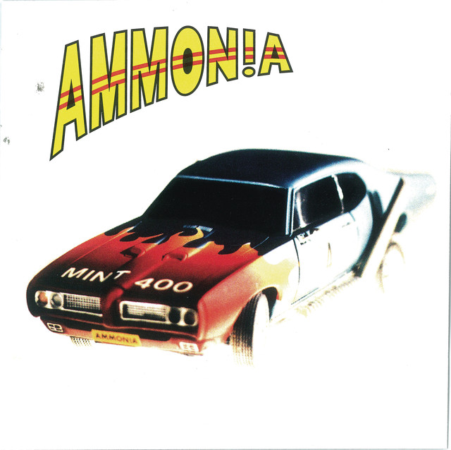 Mint 400 cover