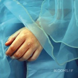 Blooms