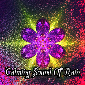 Calming Sound Of Rain album