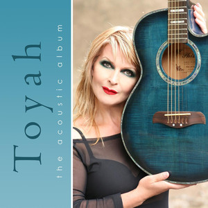 The Acoustic Album album