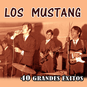 40 Grandes Éxitos cover