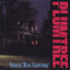 Mass Teen Fainting cover