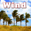Wind Albumcover