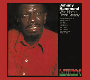 Wild Horses/Rock Steady album