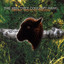 Never Born to Follow cover