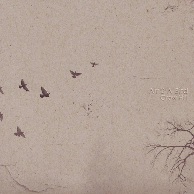 Air 2 A Bird Photo