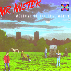 Welcome to the Real World cover