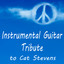 Instrumental Guitar Tribute to Cat Stevens Albumcover
