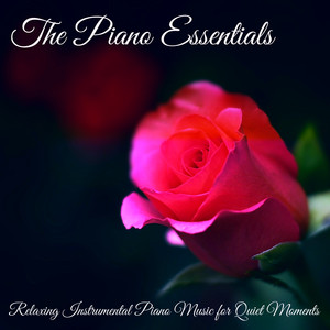 The Piano Essentials - Relaxing Instrumental Piano Music for Quiet Moments album