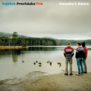 Vojtěch Proch&aacute;zka Trio