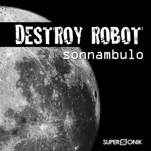 Destroy Robot