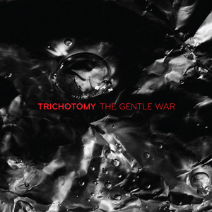 The Gentle War cover