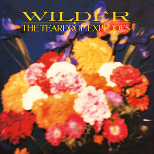 Wilder (Remastered Expanded Edition) album