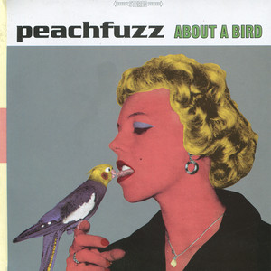 About a Bird cover
