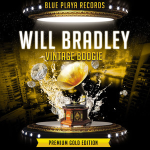 Vintage Boogie album