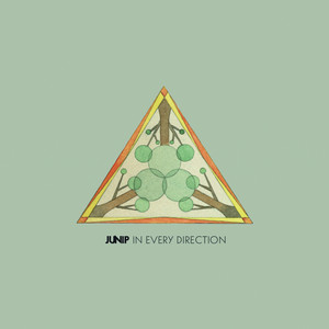 In Every Direction album