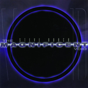 The Magnificent Void album