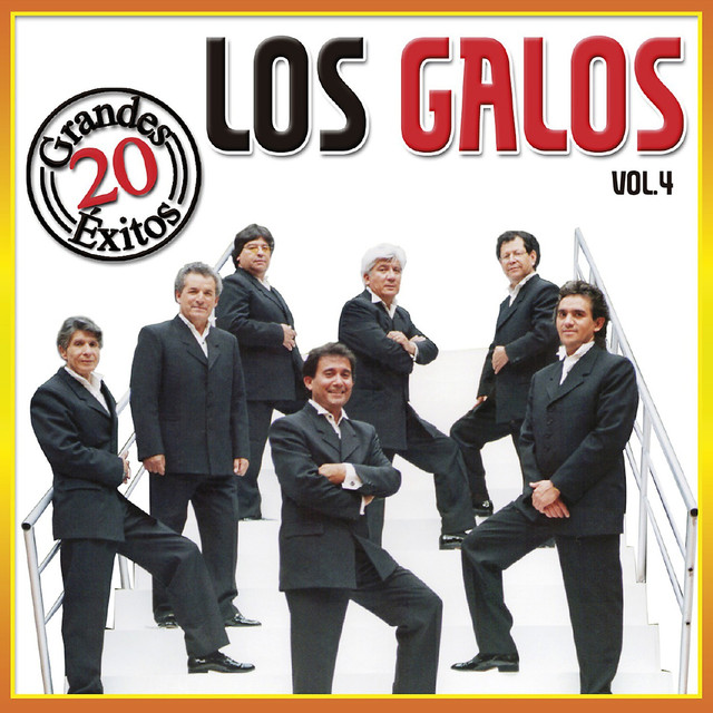 20 Grandes Exitos - Vol. 4 Albumcover