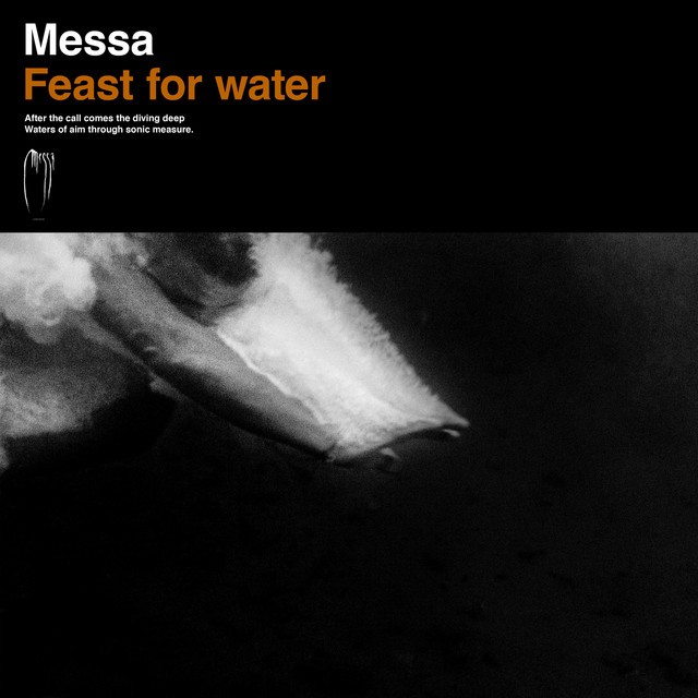 Feast For Water cover