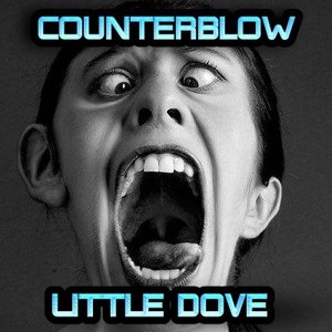 Counterblow