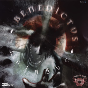 Benedictus cover