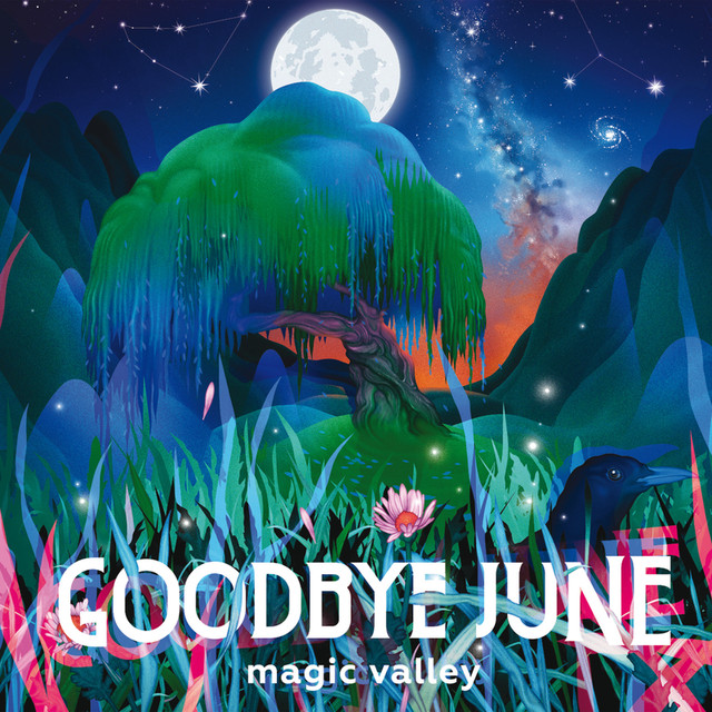 Magic Valley cover