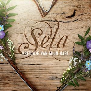 Vreugde van mijn hart cover