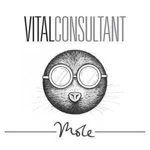 Vital Consultant